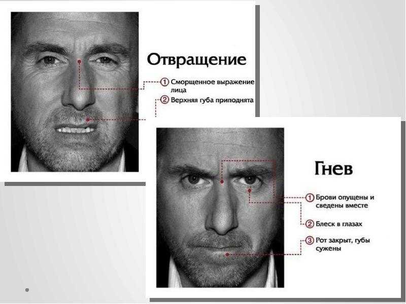 Физиогномика лица в картинках: читай по лицу