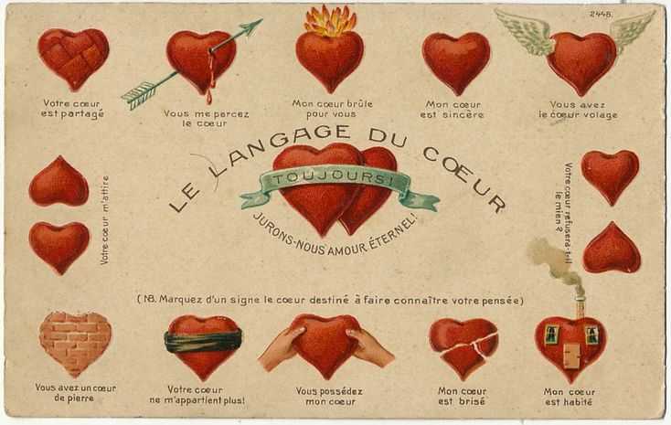Фразы, которые употребляют французы - жить во франции