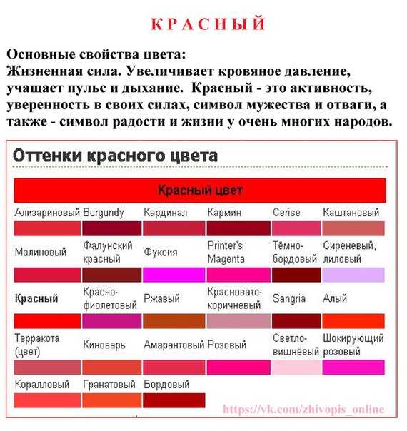 Характер по любимым цветам: личные характеристики человека по цветовой гамме и психология цвета