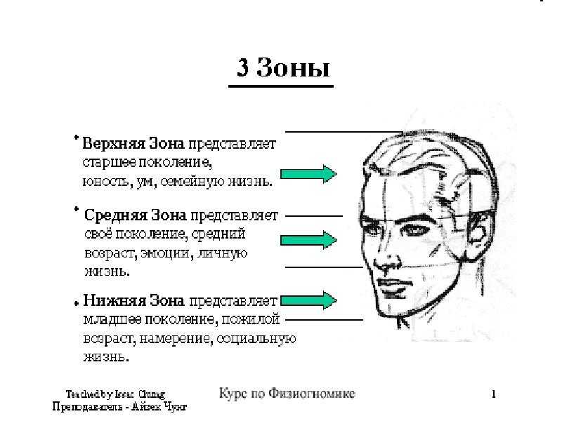 Физиогномика: характер человека по форме и чертам его лица
