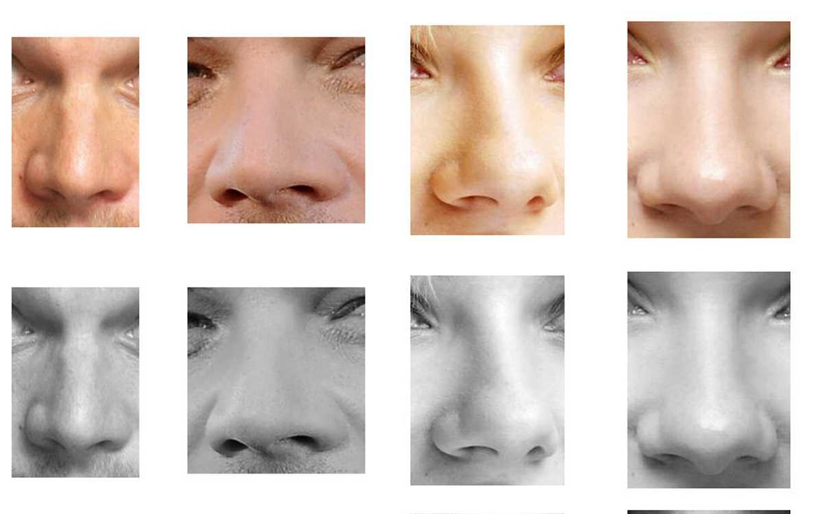 Форма носа и характер человека