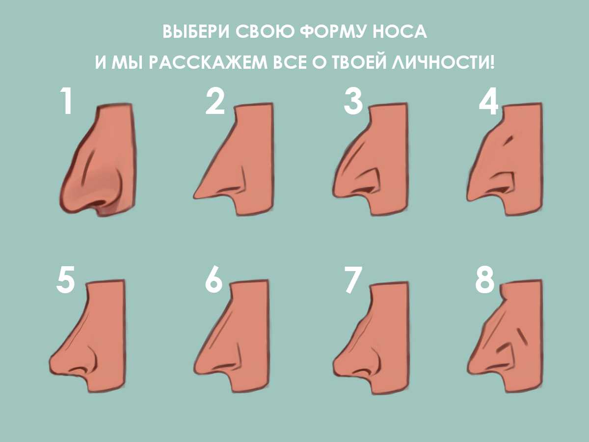 Как определить характер личности по форме носа