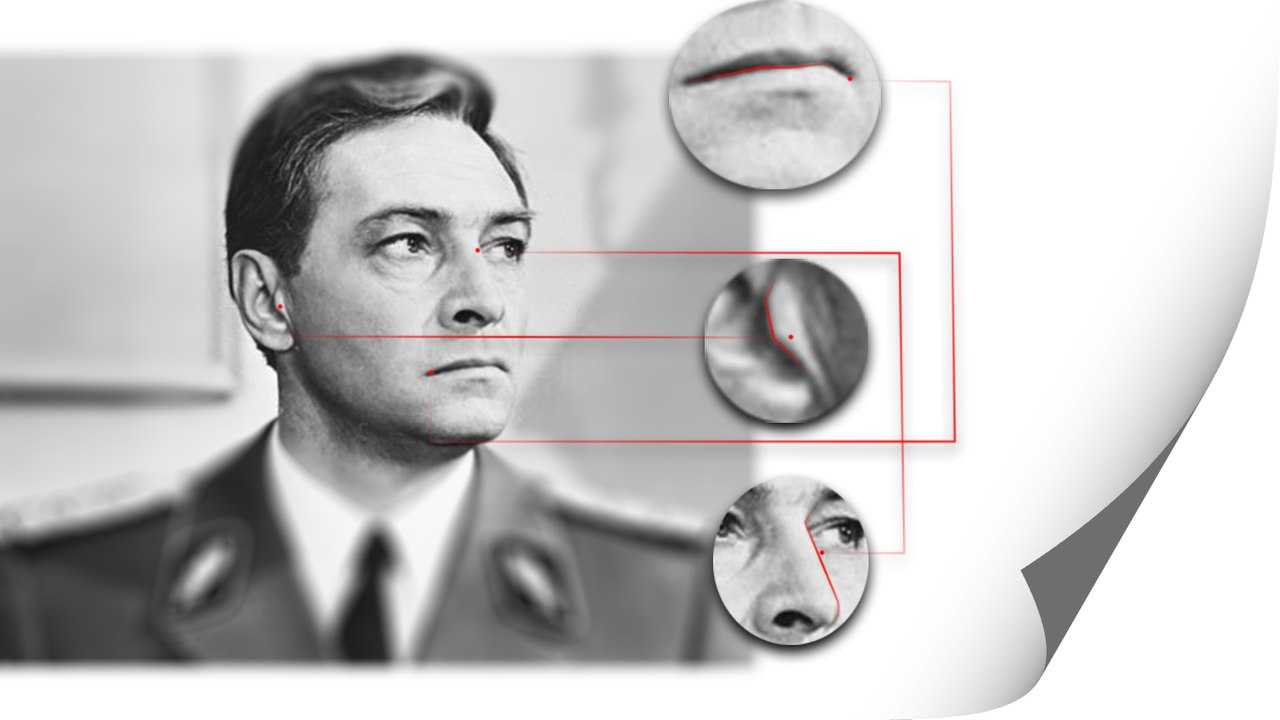 Физиогномика лица - читаем характер по чертам (лоб, глаза, нос, рот, подбородок, уши)