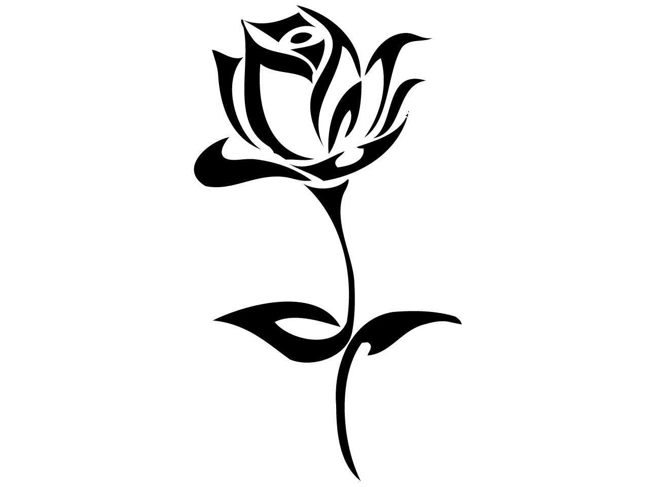 Роза черно белая эскиз